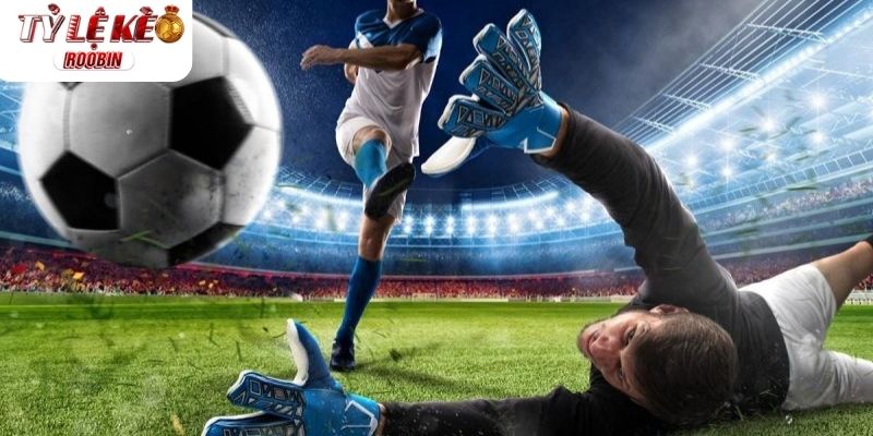 Giới thiệu qua về kèo nhà cái 5 Giới thiệu qua về kèo nhà cái 5