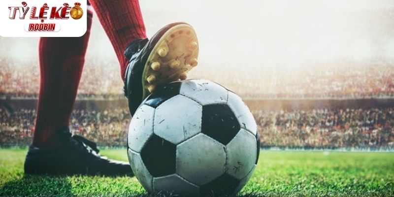 Một vài tỷ lệ cược phổ biến nhất Một vài tỷ lệ cược phổ biến nhất