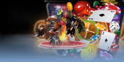 Đá Gà MCW Trực Tiếp Tốc Độ Cao Cùng Phân Tích Thế Trận