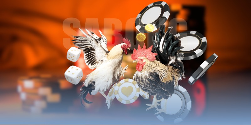 Hỗ trợ 24/7 với đội ngũ chuyên nghiệp