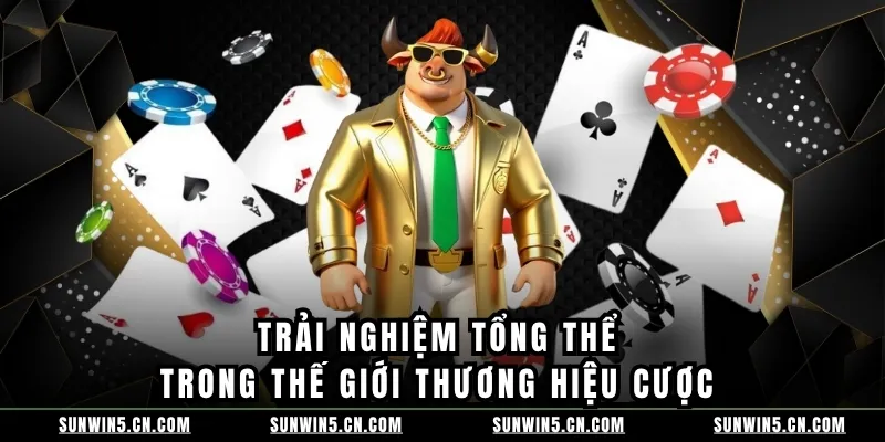Trải nghiệm tổng thể trong thế giới thương hiệu cược 