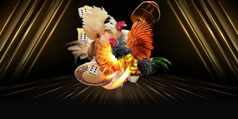 Trải nghiệm cảm giác hồi hộp và kịch tính