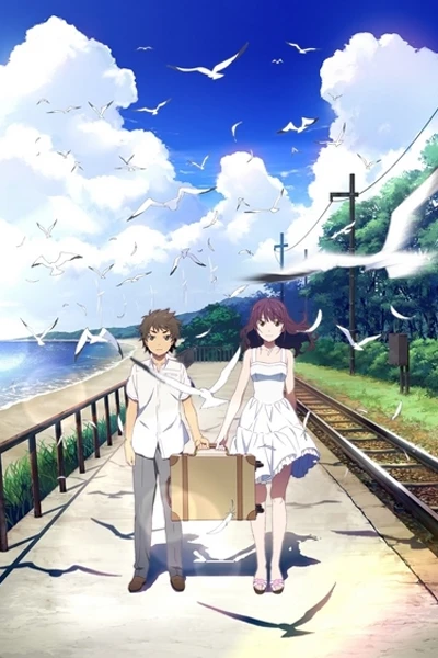 Pháo Hoa, Nên Ngắm Từ Dưới Hay Bên Cạnh?